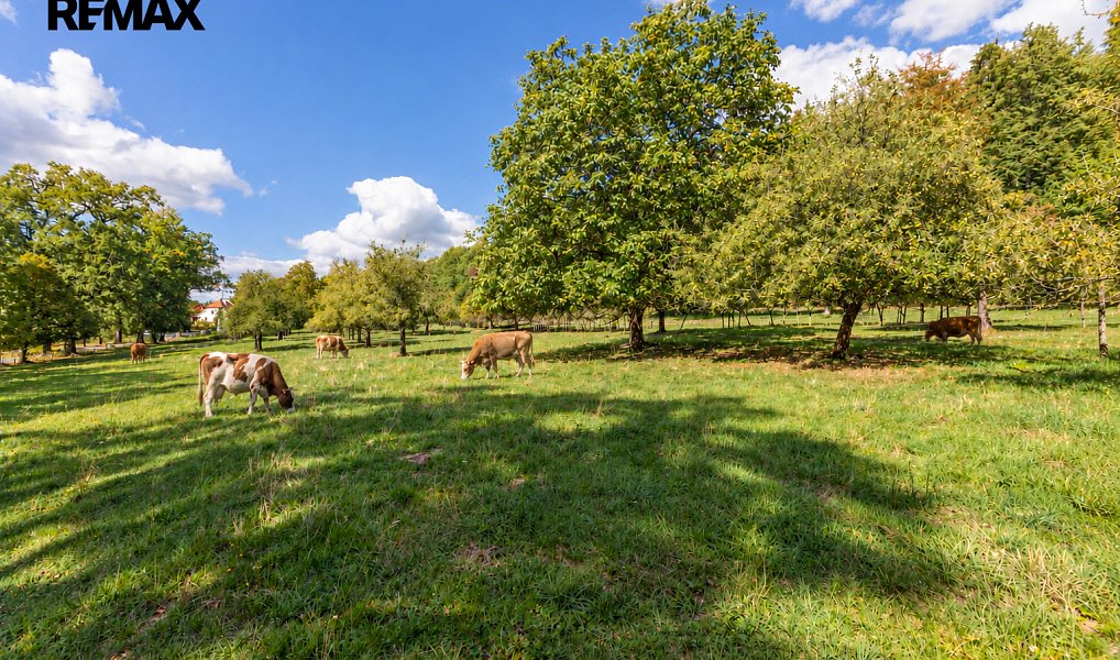 Prodej pozemku 27 377 m², Chvalšiny – náhled fotky 4