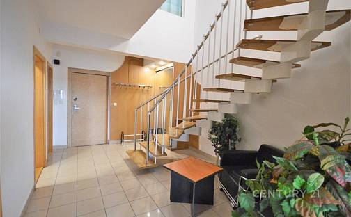 Pronájem bytu 6+kk 230 m², Příkop, Brno - Zábrdovice