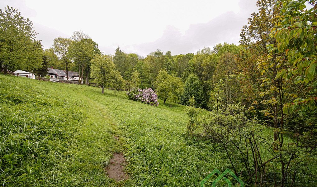 Prodej louky 2 772 m², Branná – náhled fotky 5