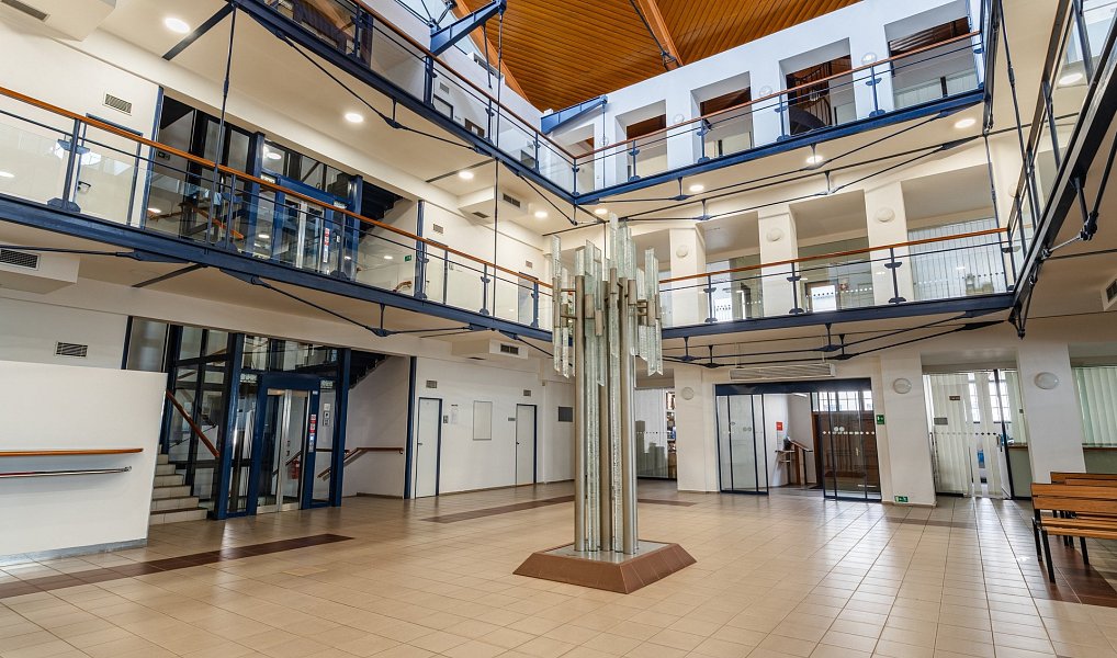 Pronájem obchodních prostor 6 036 m², Brno – náhled fotky 4