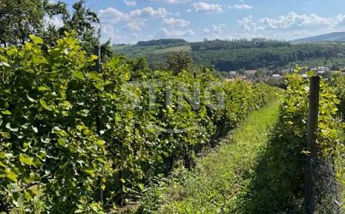 Prodej pozemku 2 594 m², Lipov, okres Hodonín