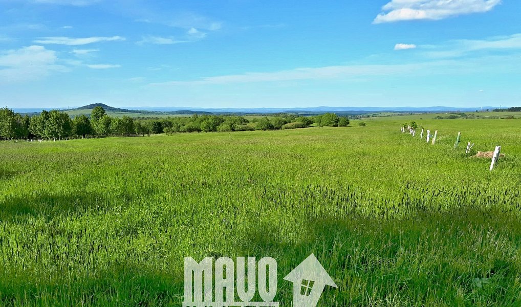 Prodej louky 118 619 m², Petrovice – náhled fotky 2