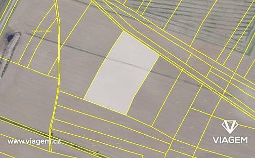 Prodej pole 5 054 m², Jíkev, okres Nymburk