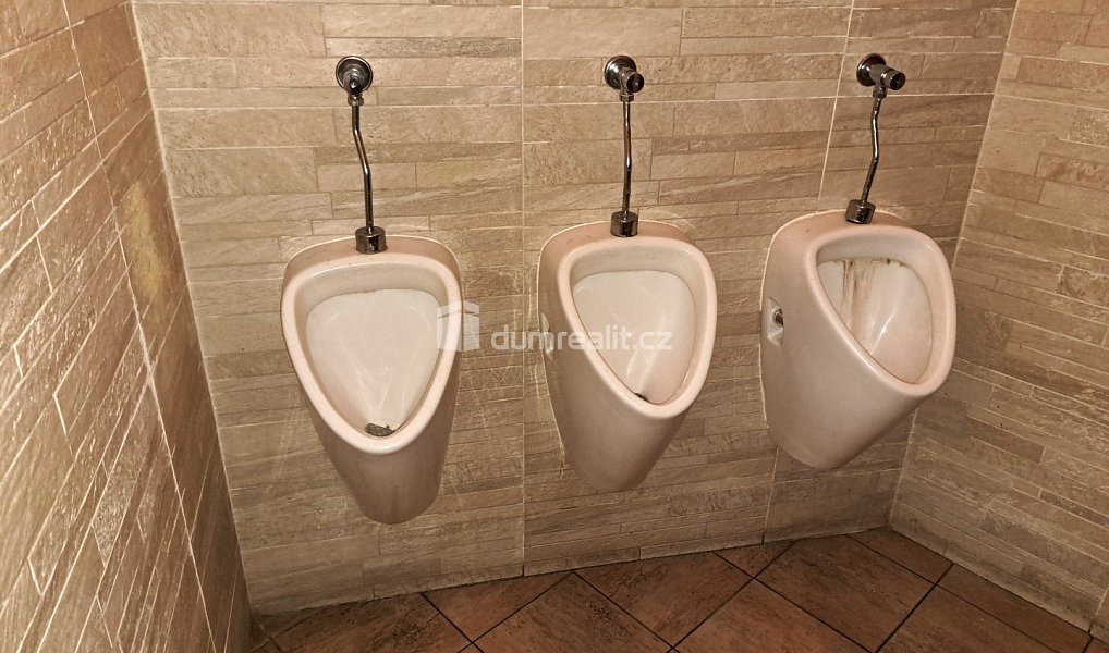 Prodej obchodních prostor 126 m², Ústí nad Labem – náhled fotky 14