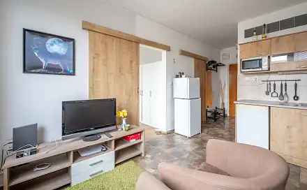 Pronájem bytu 1+1 34 m²