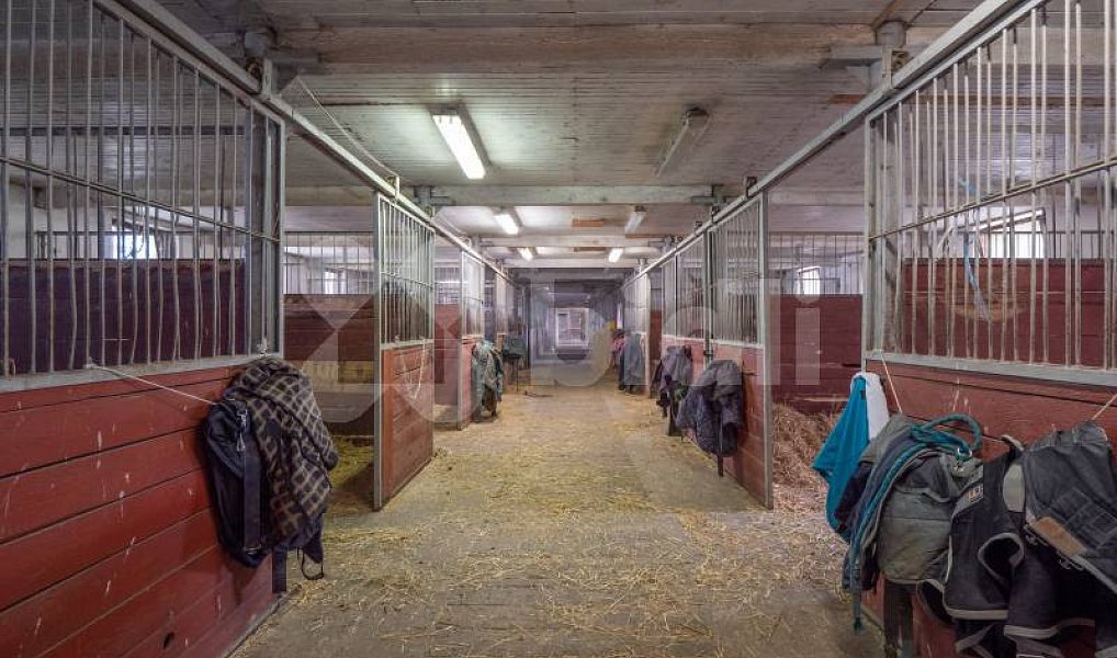 Prodej ubytovacího objektu 2 705 m², Dolní Moravice – náhled fotky 24