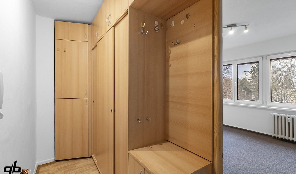 Prodej bytu 1+1 27 m², Frýdek-Místek – náhled fotky 6