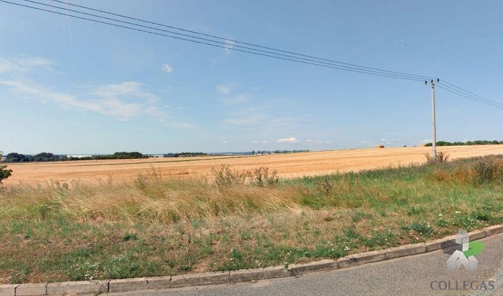 Prodej pole 6 915 m², Šlapanice – náhled fotky 2