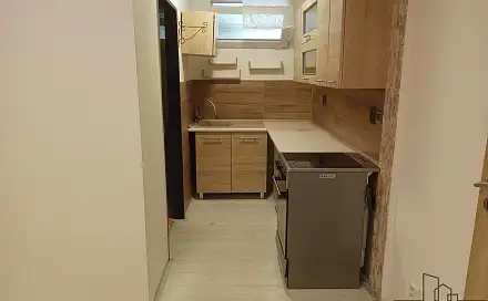 Pronájem bytu 1+1 50 m²