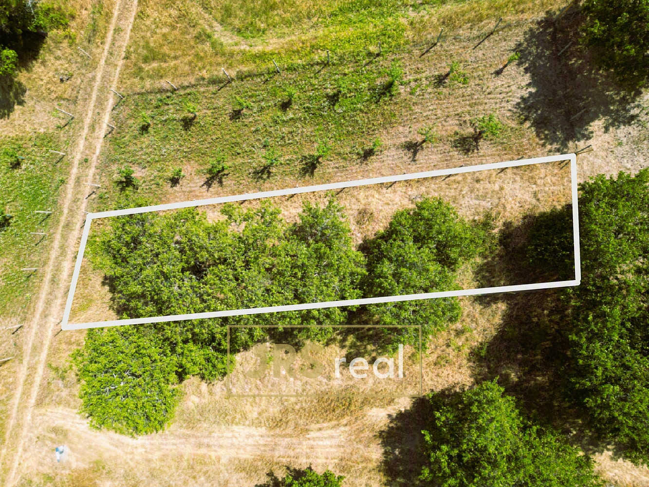 Prodej pole 358 m² – fotografie 3