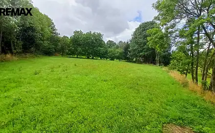 Prodej stavebního pozemku 1 913 m², Borotín, okres Tábor