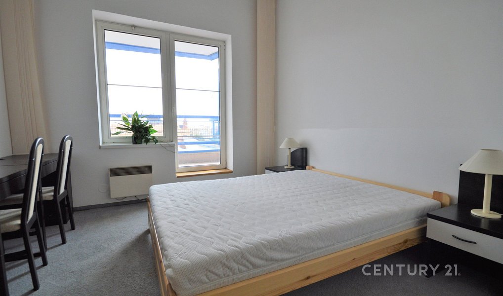 Prodej bytu 6+kk 270 m², Brno – náhled fotky 5