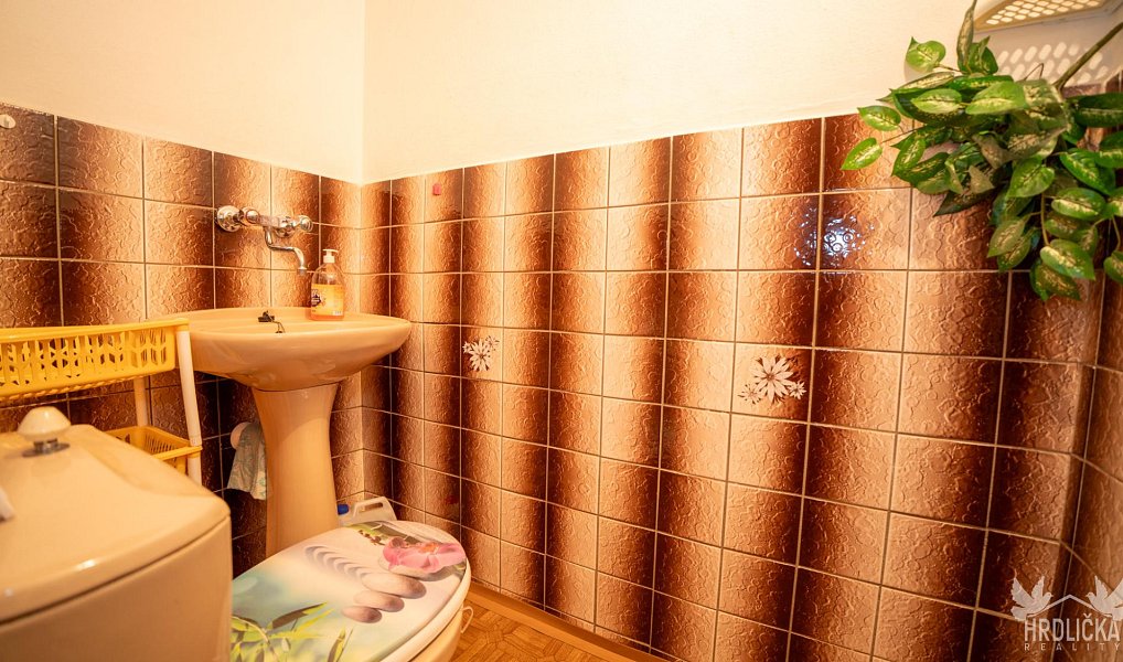 Prodej domu 160 m² s pozemkem 481 m², Vodňany – náhled fotky 27