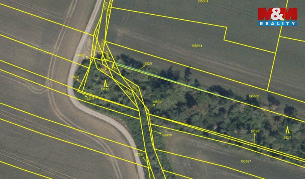 Prodej lesa 4 769 m², Sadská – náhled fotky 10