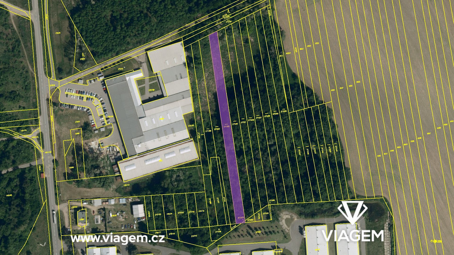 Prodej pole 1 174 m² – fotografie 4