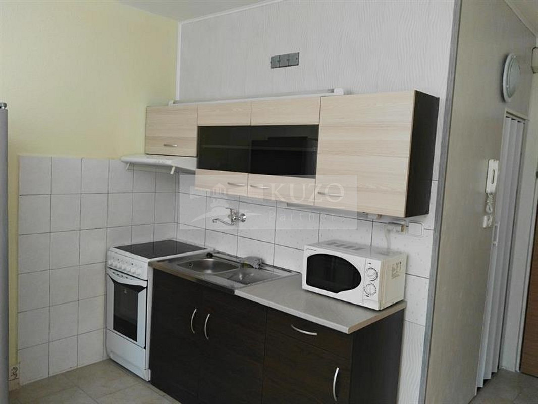 Pronájem bytu 1+1 36 m² – fotografie 2