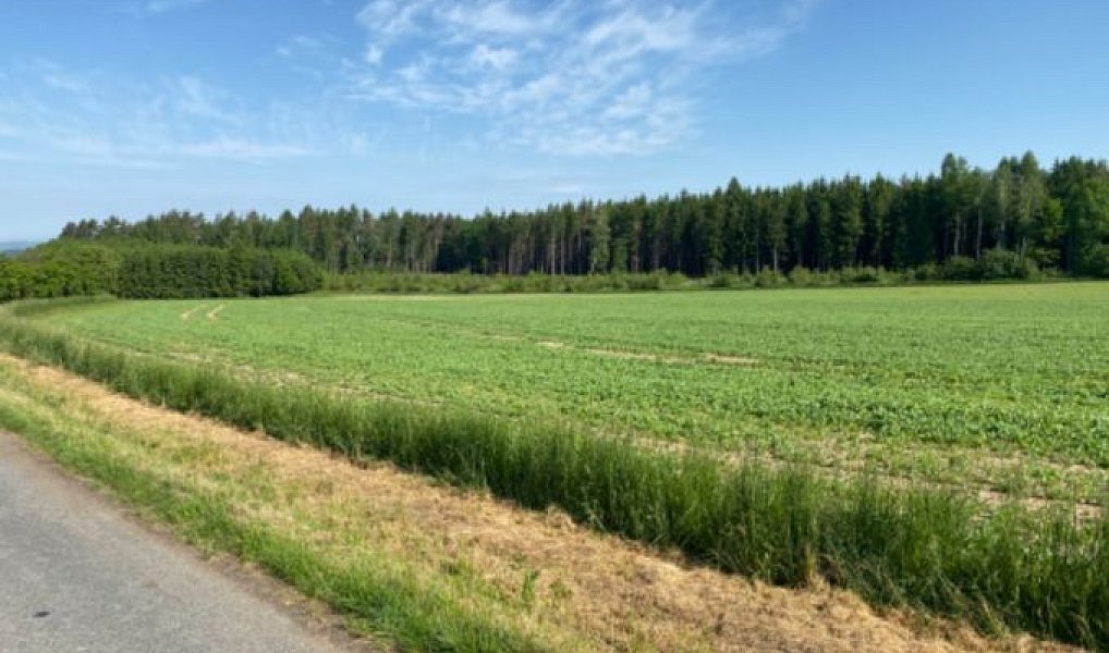 Prodej stavebního pozemku 8 669 m², Zbizuby – náhled fotky 4