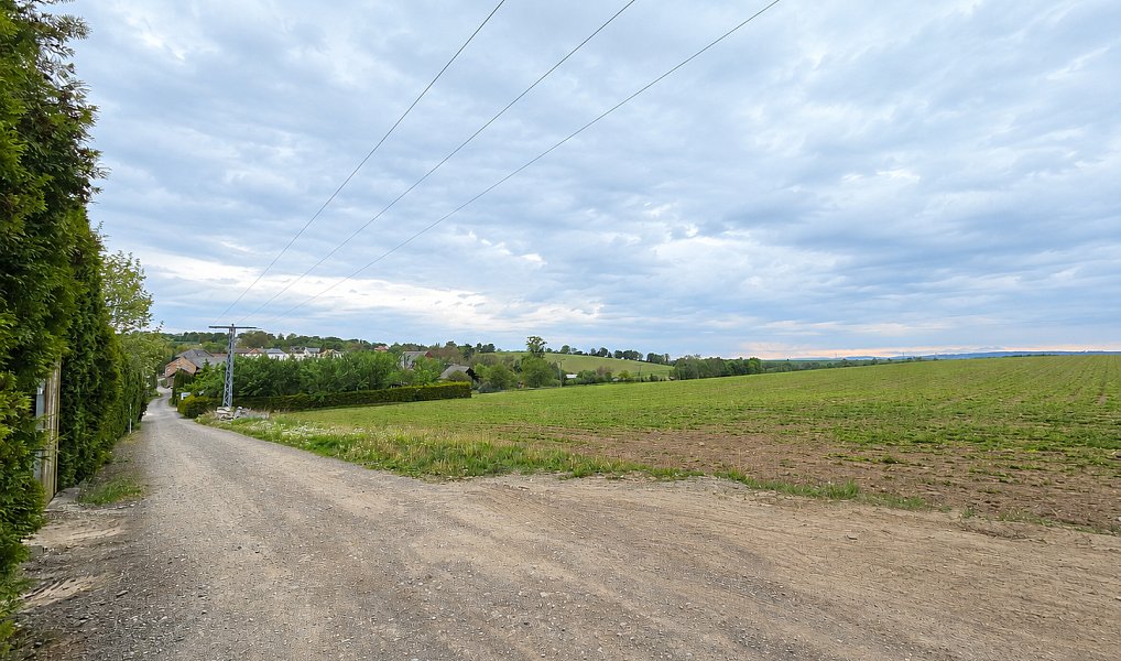 Prodej stavebního pozemku 3 871 m², Tršice – náhled fotky 13