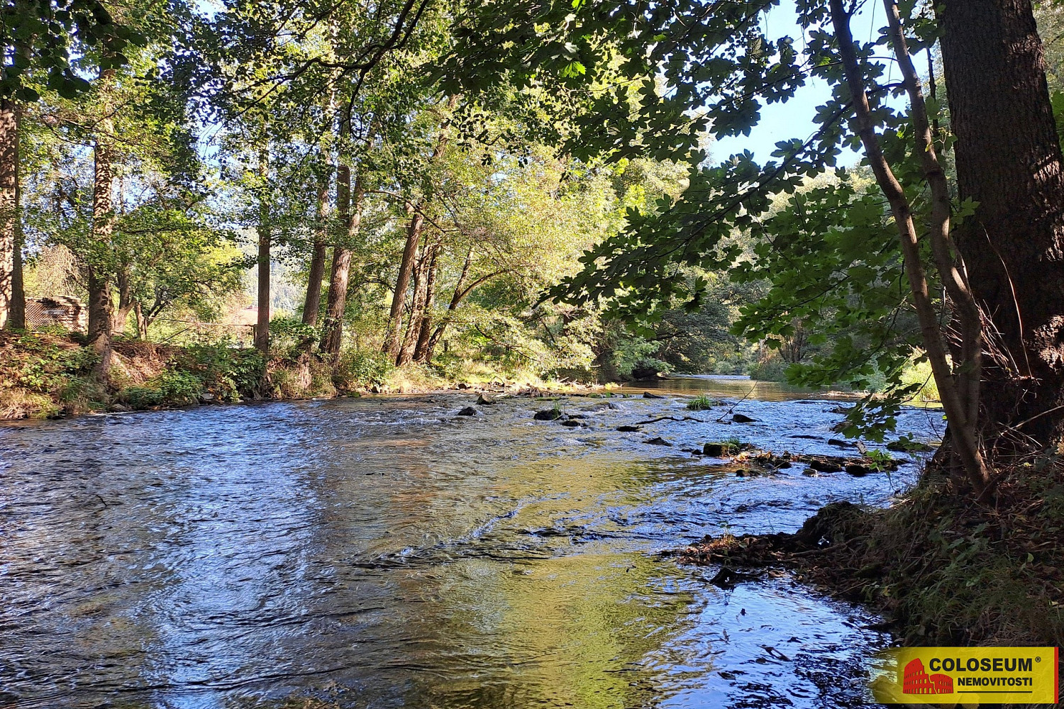 Fotka 10 z 11