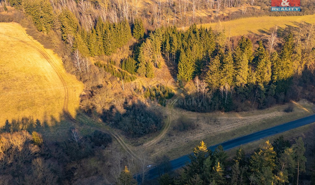 Prodej pole 1 278 m², Bělá u Jevíčka – náhled fotky 6