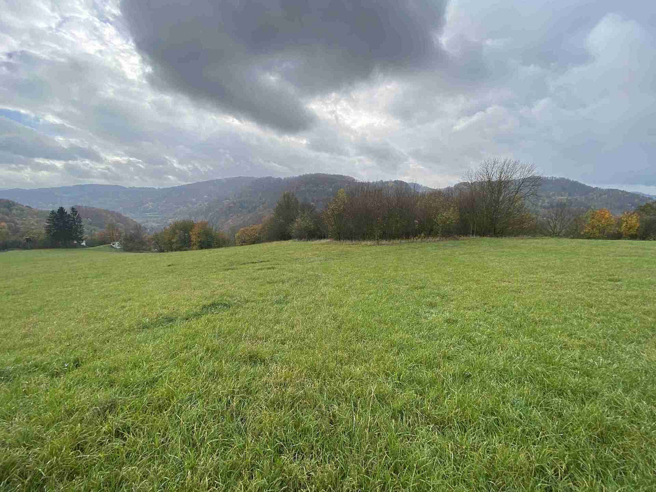 Prodej pozemku 4 431 m²