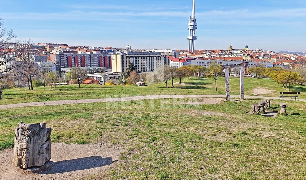 Prodej bytu 2+1 61 m², Praha – náhled fotky 12