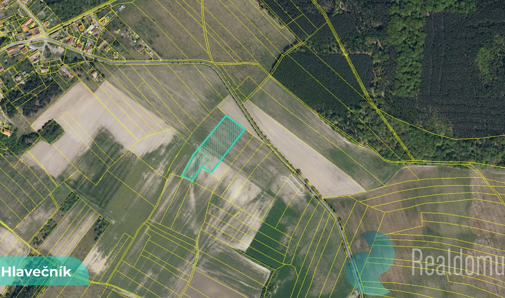 Prodej pole 3 089 m², Hlavečník – náhled fotky 3