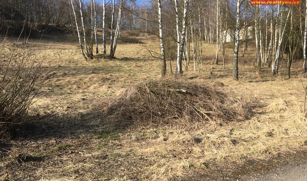 Prodej stavebního pozemku 1 400 m², Bernartice – náhled fotky 8