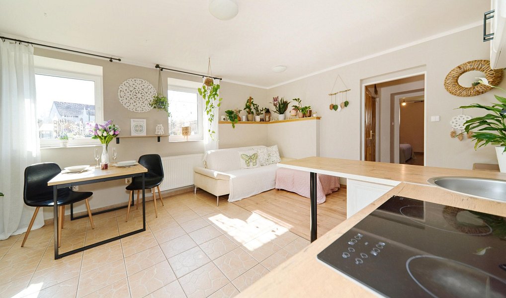 Prodej domu 55 m² s pozemkem 478 m², Doudleby – náhled fotky 14