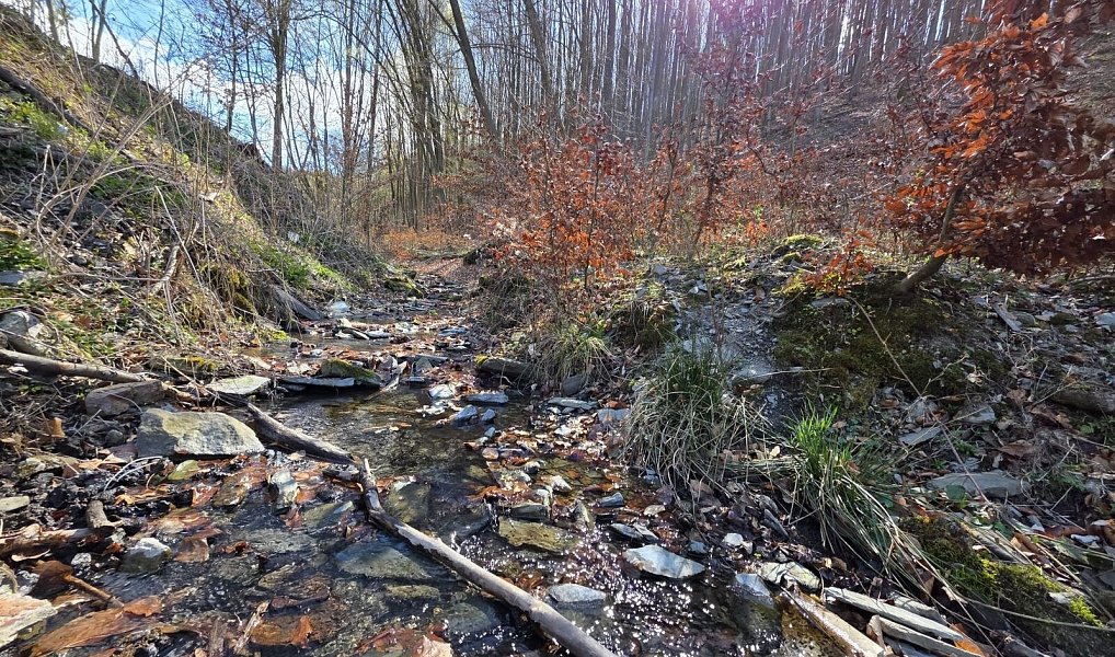 Prodej domu 179 m² s pozemkem 1 199 m², Hlubočky – náhled fotky 20