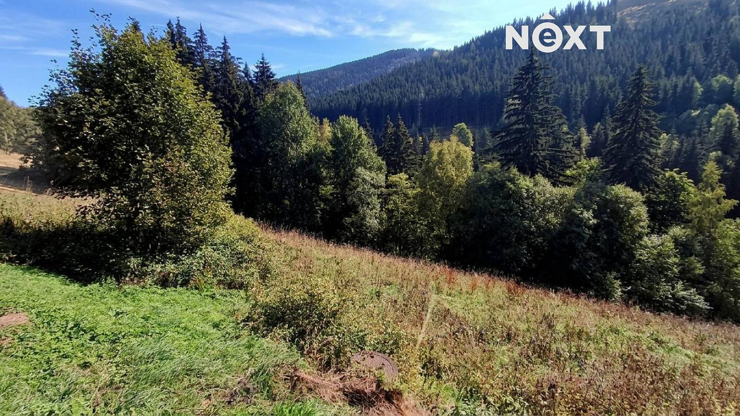 Prodej stavebního pozemku 4 273 m² – fotografie 5