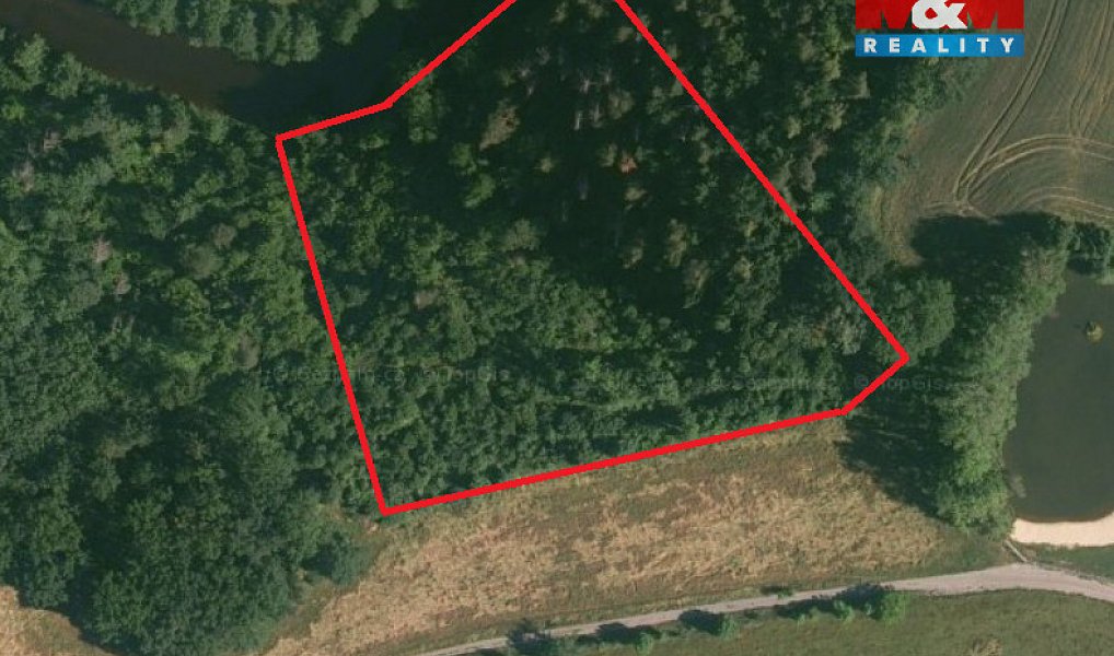 Prodej lesa 9 271 m², Římov – náhled fotky 2