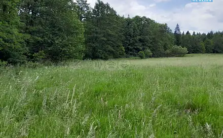 Prodej louky 19 732 m², Oselce - Kotouň, okres Plzeň-Jih