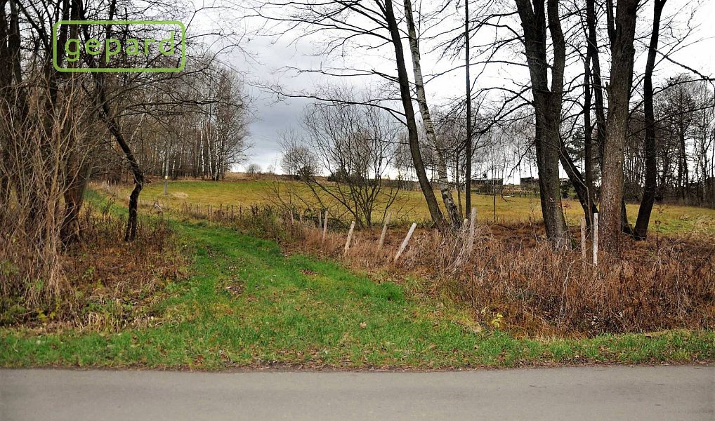 Prodej pole 4 674 m², Trhové Sviny – náhled fotky 3