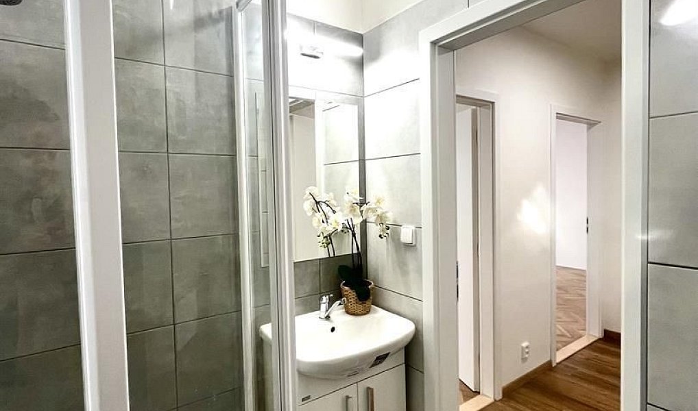 Pronájem bytu 2+1 50 m², Brno – náhled fotky 4