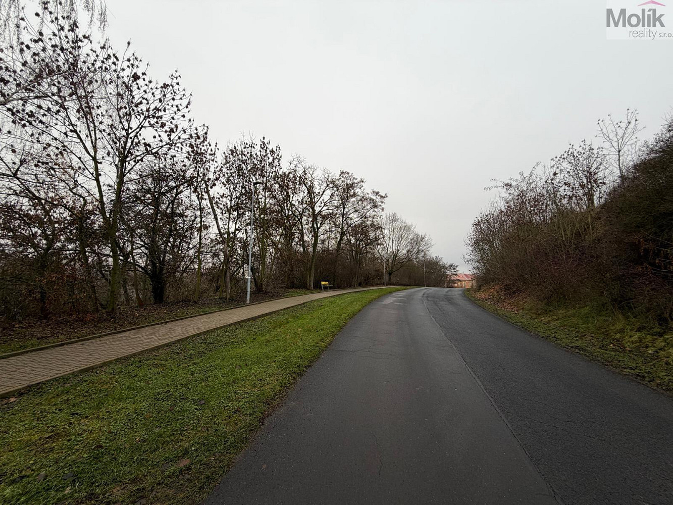 Prodej komerčního pozemku 15 490 m² – fotografie 5