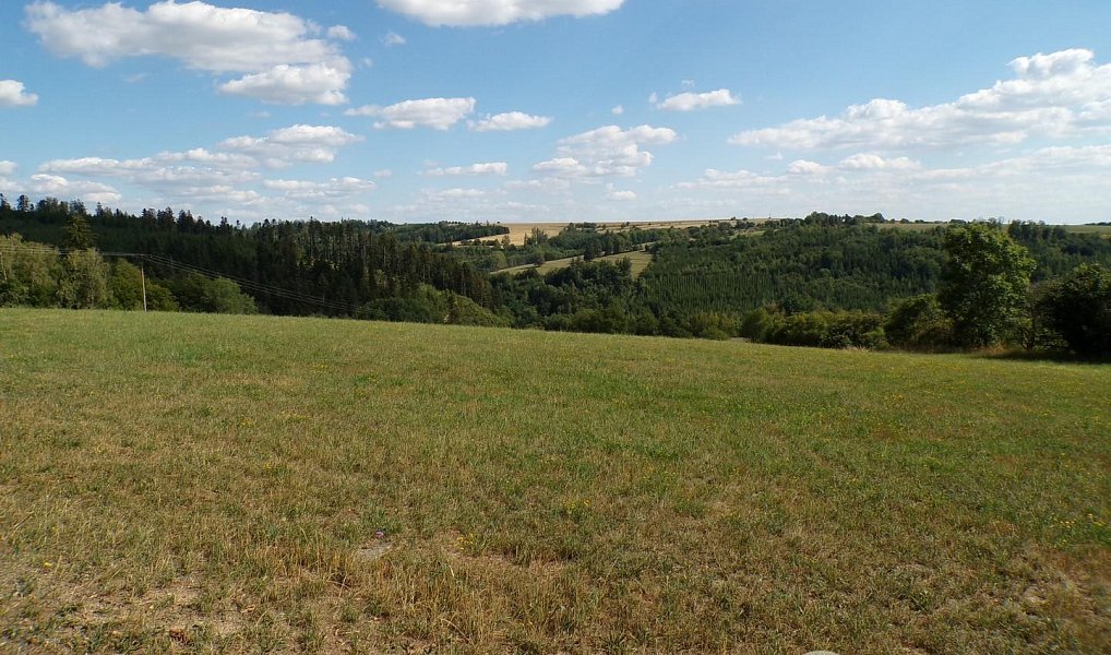 Prodej domu 205 m² s pozemkem 6 330 m², Čestín – náhled fotky 29