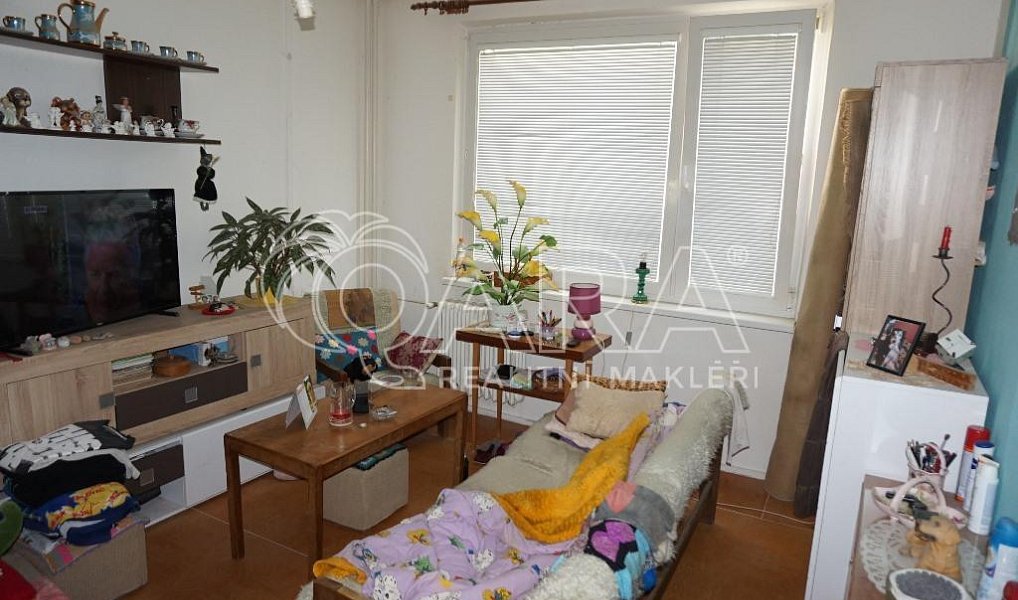 Prodej bytu 1+1 37 m², Moravská Třebová – náhled fotky 3