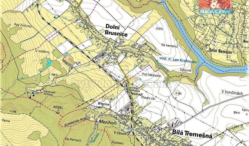 Prodej louky 3 789 m², Dolní Brusnice – náhled fotky 5