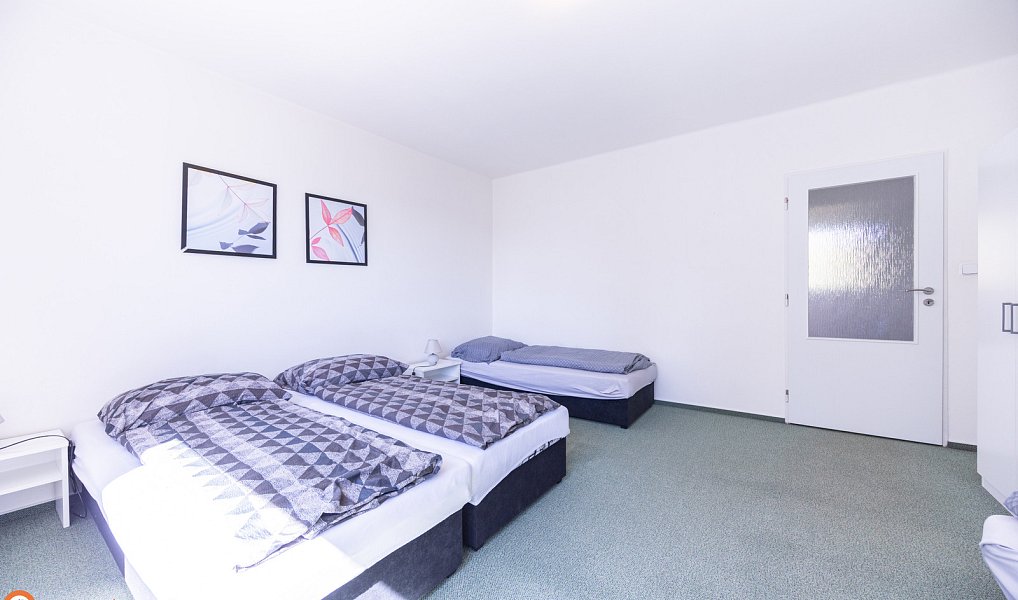Prodej komerčního objektu (jiného typu) 48 m², Staré Město – náhled fotky 10