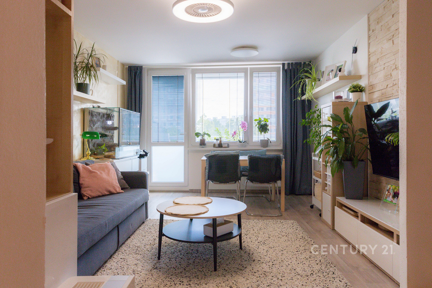 Prodej bytu 4+kk 81 m² – fotografie 5