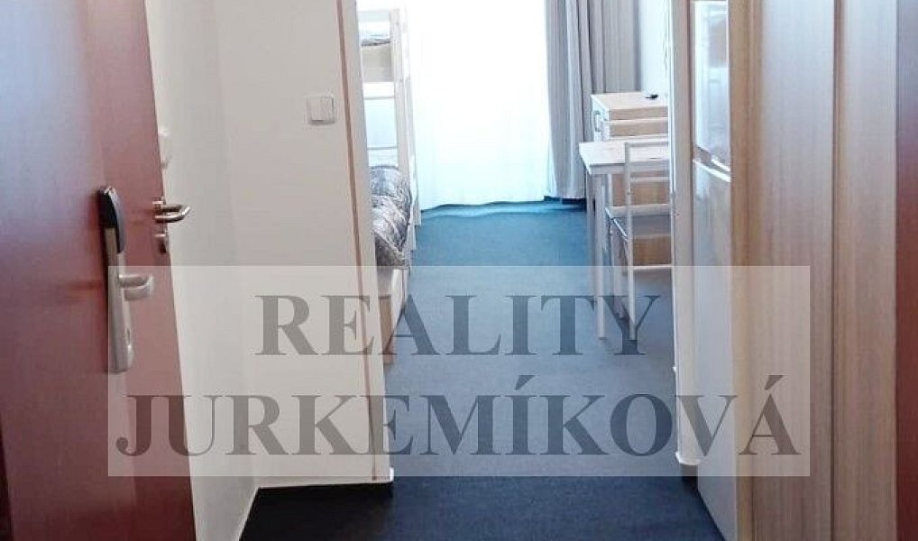 Pronájem bytu 1+kk 32 m², Frymburk – náhled fotky 7