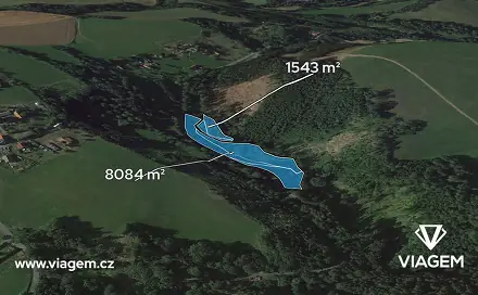 Prodej lesa 4 813 m², Stružinec, okres Semily