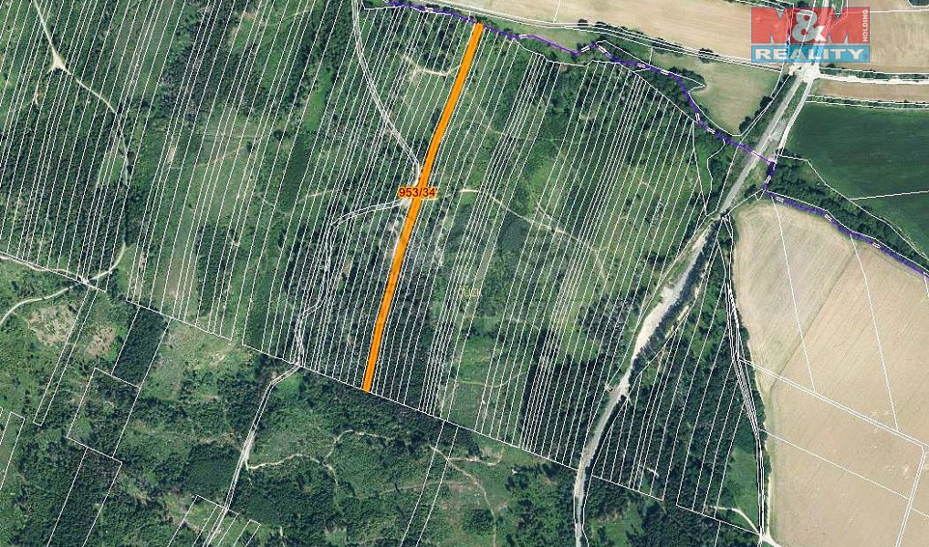 Prodej lesa 5 346 m², Nová Hradečná – náhled fotky 3