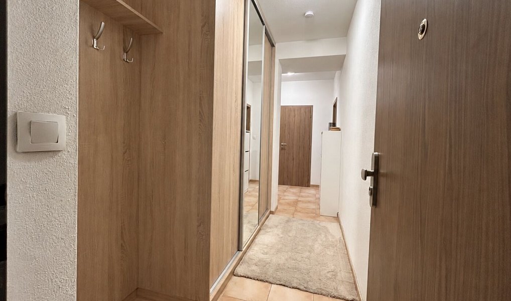 Pronájem bytu 2+kk 51 m², Plzeň – náhled fotky 12