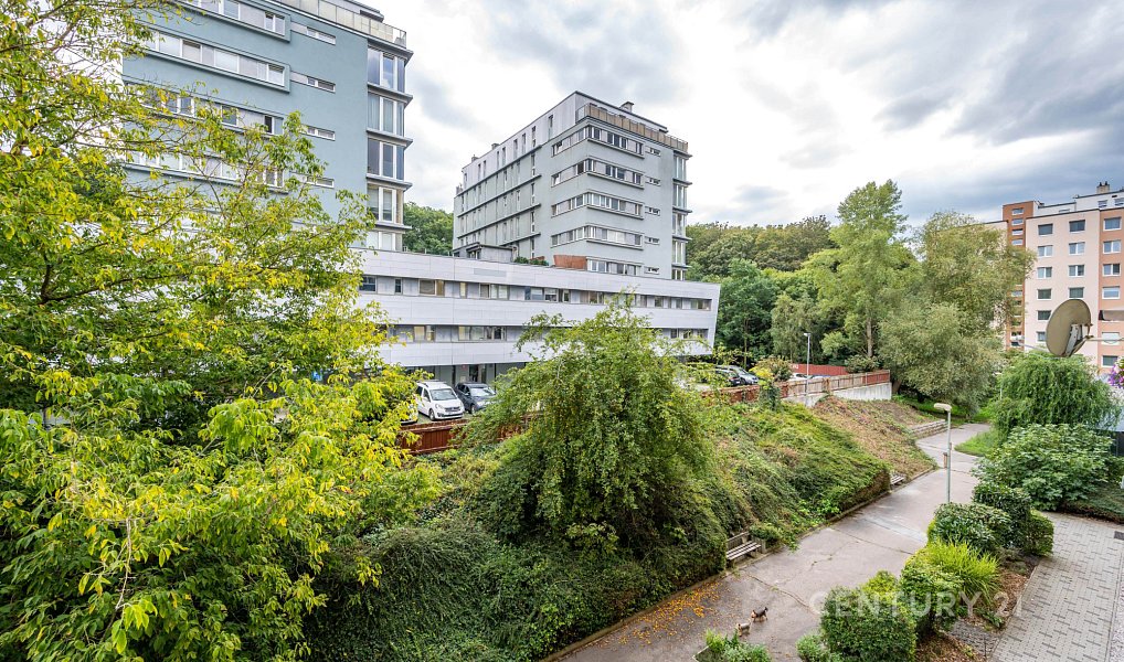 Pronájem bytu 2+kk 41 m², Praha – náhled fotky 13