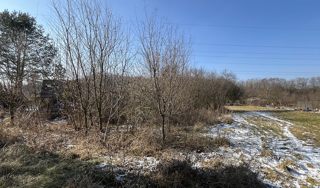 Prodej zahrady 928 m², Hradčany-Kobeřice – náhled fotky 4