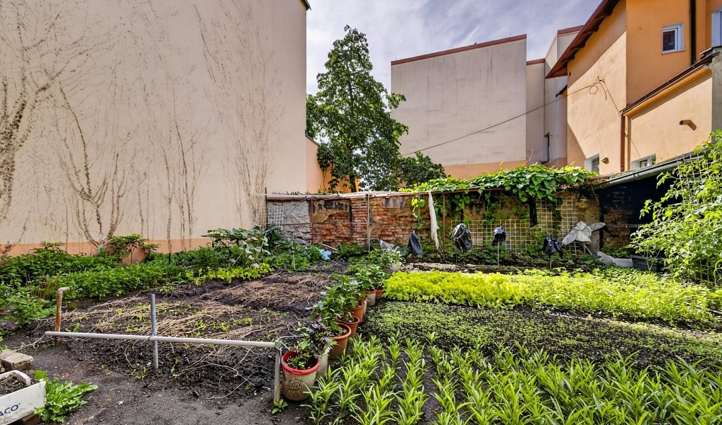 Prodej domu 381 m² s pozemkem 261 m², Plzeň – náhled fotky 28