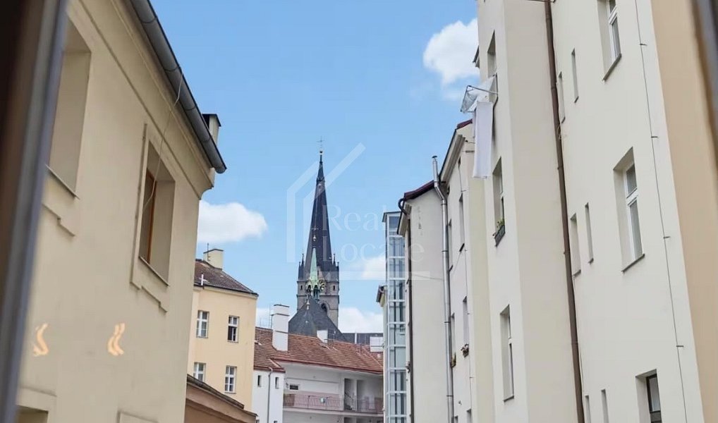 Pronájem bytu 1+kk 20 m², Praha – náhled fotky 9