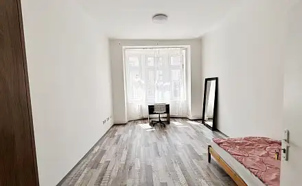 Pronájem pokoje 22 m², Palackého třída, Brno - Královo Pole